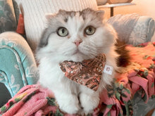 Load image into Gallery viewer, Botanical