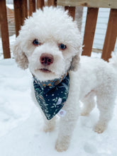 Charger l'image dans la galerie, La chouette dont tu as besoin, c'est de l'amour