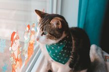 Load image into Gallery viewer, Wintertale