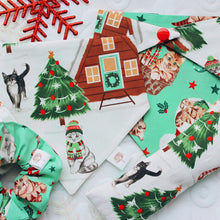 Load image into Gallery viewer, Purrfect Package