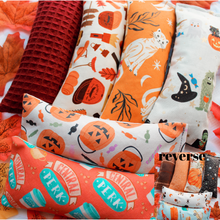 Charger l'image dans la galerie, Kickers à l'herbe à chat biologique