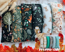 Load image into Gallery viewer, Organic Catnip Kickers