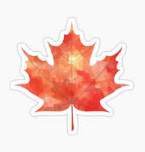 Load image into Gallery viewer, ~Vinyl Stickers~