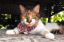 Load image into Gallery viewer, Blooms at Dusk