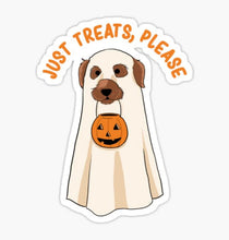 Load image into Gallery viewer, ~Vinyl Stickers~