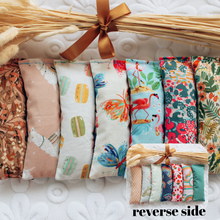 Charger l'image dans la galerie, Kickers à l'herbe à chat biologique