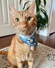 Load image into Gallery viewer, Snow Angels