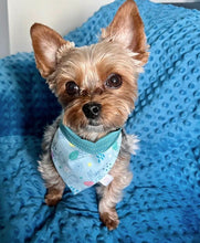 Load image into Gallery viewer, Hop to it!