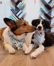 Load image into Gallery viewer, Posh Pups