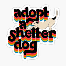 Load image into Gallery viewer, ~Vinyl Stickers~
